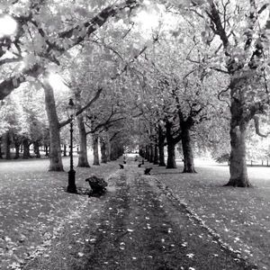 Meet your Posher, Sofia